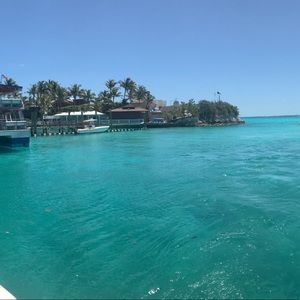 Meet your Posher, Alisa